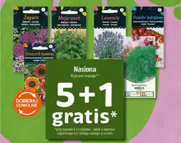 Polomarket Nasiona oferta