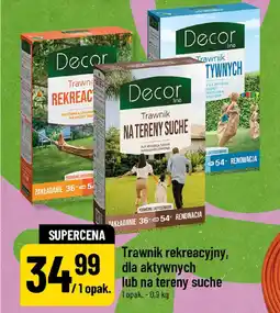 Polomarket Trawnik rekreacyjny, dla aktywnych lub na tereny suche oferta