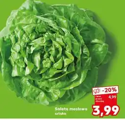 Kaufland Sałata masłowa Sztuka oferta