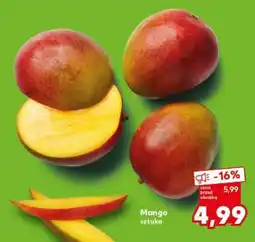 Kaufland Mango sztuka oferta