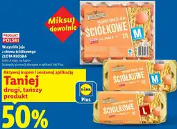 Lidl Wszystkie jaja z chowu ściółkowego ZŁOTA NIOSKA oferta