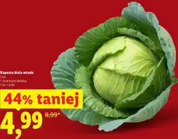Lidl Kapusta biała młoda oferta
