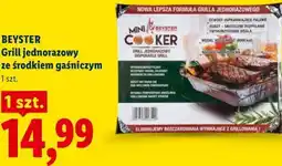 Lidl BEYSTER Grill jednorazowy ze środkiem gaśniczym oferta
