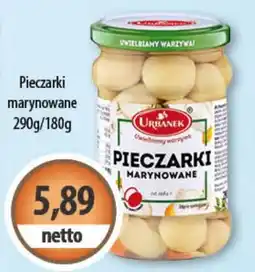 DUO-TES Pieczarki marynowane oferta