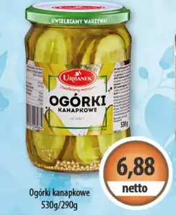 DUO-TES Ogórki kanapkowe oferta