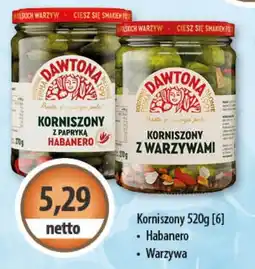 DUO-TES Korniszony oferta