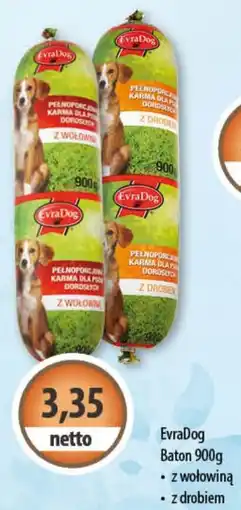 DUO-TES EvraDog Baton oferta