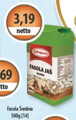 DUO-TES Fasola Średnia oferta