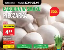 Biedronka Pieczarka łagodna w smaku polska oferta