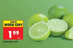 Biedronka Limonka oferta