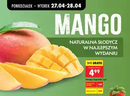 Biedronka Mango dojrzałe oferta