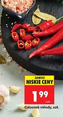 Biedronka Czosnek młody oferta