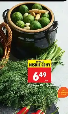 Biedronka Koperek XL pęczek oferta