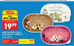 Biedronka Lody Familijne Carte d'Or yoghurt & forest fruit oferta