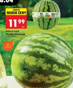 Biedronka Arbuz mini Go Bio na wagę oferta