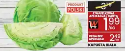Wafelek Kapusta biała oferta