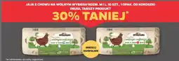 Netto Jaja z chowu na wolnym wybiegu rozm. M i L, 10 szt., 1 opak. Od Kokoszki oferta