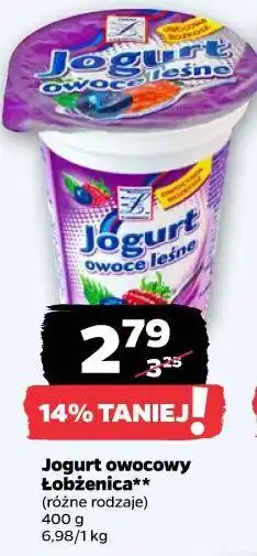 Netto Jogurt owocowy Łobżenica oferta