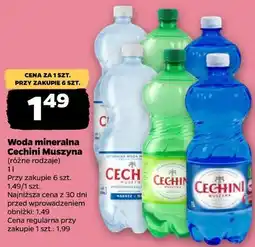 Netto Woda mineralna Cechini Muszyna (różne rodzaje) oferta