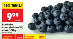 Biedronka Borówka amerykańska XL, opak oferta