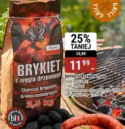 bi1 Brykiet z węgla drzewnego oferta