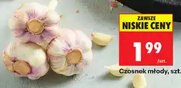 Biedronka Czosnek młody, szt oferta