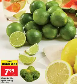 Biedronka Limonka Bio oferta