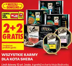 Biedronka Wszystkie karmy dla kota Sheba oferta