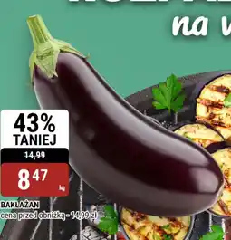 bi1 Bakłażan oferta