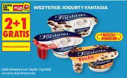 Biedronka WSZYSTKIE JOGURTY FANTASIA oferta