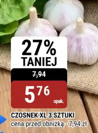 bi1 Czosnek XL oferta