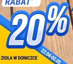bi1 Zioła w doniczce oferta
