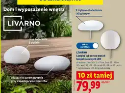 Lidl Lampka solarna LED lub zestaw dwóch lampek solarnych LED Livarno oferta