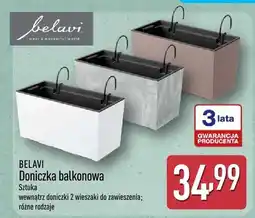 ALDI Doniczka balkonowa Belavi oferta