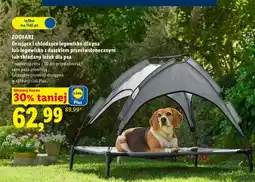 Lidl Składany leżak dla psa Zoofari oferta