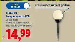 Lidl Lampka solarna LED Livarno ø15cm oferta