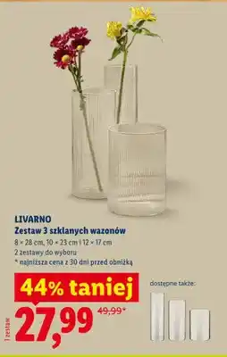 Lidl Zestaw 3 szklanych wazonów Livarno oferta