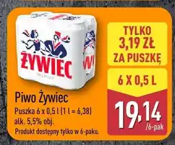 ALDI Piwo Żywiec oferta