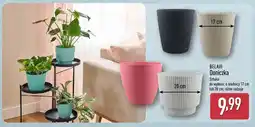 ALDI Doniczka Belavi o średnicy 20cm oferta