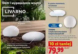 Lidl LIVARNO Lampka lub zestaw dwóch lampek solarnych LED oferta