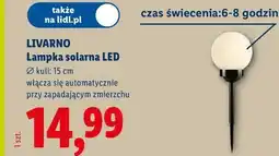 Lidl LIVARNO Lampka solarna LED oferta