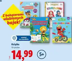 Lidl Książka oferta