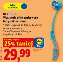Lidl NERF DOG Wyrzutnia piłek tenisowych lub piłki tenisowe oferta