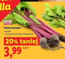 Lidl Polska botwina oferta