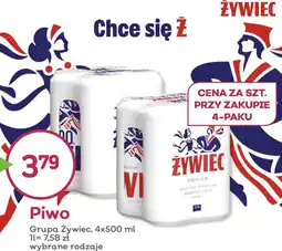 Wizan Żywiec Piwo oferta