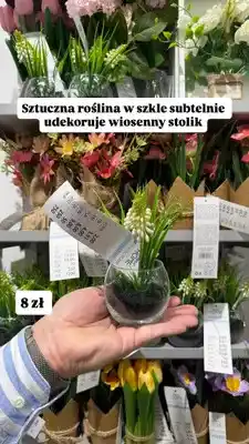 Pepco Sztuczna roślina w szkle oferta