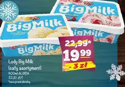 Arhelan Lody Big Milk Algida oferta