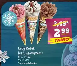 Arhelan Lody Rożek Koral oferta