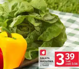 Selgros Sałata masłowa oferta