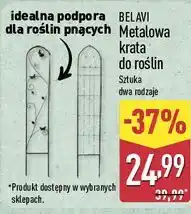 ALDI BELAVI Metalowa krata do roślin oferta